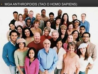 • MGA ANTHROPOIDS (TAO O HOMO SAPIENS)
 