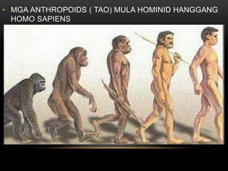 • MGA ANTHROPOIDS ( TAO) MULA HOMINID HANGGANG
HOMO SAPIENS
 