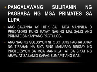 • PANGALAWANG SULIRANIN NG
PAGBABA NG MGA PRIMATES SA
LUPA
• ANG SAVANNA AY HITIK SA MGA MANINILA O
PREDATORS KUNG KAYAT NAGING MALIGALIG ANG
PRIMATE SA KANYANG PAGTULOG.
• ANG NAGING SOLUSYON NITO AY ANG PAGHAHANAP
NG TIRAHAN NA SIYA RING MAKAPAG BIBIGAY NG
PROTEKSYON SA MGA MANINILA AT SA SIKAT NG
ARAW. AT SA LAMIG KAPAG SUMAPIT ANG GABI
 