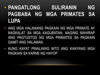 • PANGATLONG SULIRANIN NG
PAGBABA NG MGA PRIMATES SA
LUPA
• ANG MGA HALAMANG PAGKAIN NG MGA PRIMATE AY
NAGKALAT SA MGA KAGUBATAN, NAGING MAHIRAP
ANG PAGTUSTOS NG MGA PRIMATES SA PAGKAIN
GAMIT ANG HALAMAN.
• KUNG KAYAT PINALAWIG NITO ANG KANYANG MGA
PAGKAIN SA KARNE NG HAYOP
 