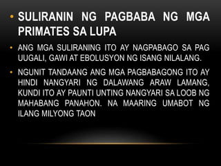 • SULIRANIN NG PAGBABA NG MGA
PRIMATES SA LUPA
• ANG MGA SULIRANING ITO AY NAGPABAGO SA PAG
UUGALI, GAWI AT EBOLUSYON NG ISANG NILALANG.
• NGUNIT TANDAANG ANG MGA PAGBABAGONG ITO AY
HINDI NANGYARI NG DALAWANG ARAW LAMANG,
KUNDI ITO AY PAUNTI UNTING NANGYARI SA LOOB NG
MAHABANG PANAHON. NA MAARING UMABOT NG
ILANG MILYONG TAON
 