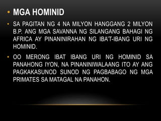 • MGA HOMINID
• SA PAGITAN NG 4 NA MILYON HANGGANG 2 MILYON
B.P. ANG MGA SAVANNA NG SILANGANG BAHAGI NG
AFRICA AY PINANINIRAHAN NG IBA’T-IBANG URI NG
HOMINID.
• OO MERONG IBAT IBANG URI NG HOMINID SA
PANAHONG IYON, NA PINANINIWALAANG ITO AY ANG
PAGKAKASUNOD SUNOD NG PAGBABAGO NG MGA
PRIMATES SA MATAGAL NA PANAHON.
 