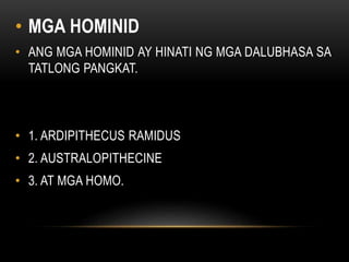 • MGA HOMINID
• ANG MGA HOMINID AY HINATI NG MGA DALUBHASA SA
TATLONG PANGKAT.
• 1. ARDIPITHECUS RAMIDUS
• 2. AUSTRALOPITHECINE
• 3. AT MGA HOMO.
 