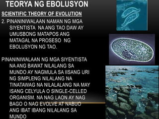 TEORYA NG EBOLUSYON
SCIENTIFIC THEORY OF EVOLUTION
2. PINANINIWALAAN NAMAN NG MGA
SIYENTISTA NA ANG TAO DAW AY
UMUSBONG MATAPOS ANG
MATAGAL NA PROSESO NG
EBOLUSYON NG TAO.
PINANINIWALAAN NG MGA SIYENTISTA
NA ANG BAWAT NILALANG SA
MUNDO AY NAGMULA SA IISANG URI
NG SIMPLENG NILALANG NA
TINATAWAG NA NILALALANG NA MAY
ISANG CELYULA O SINGLE-CELLED
ORGANISM. NA NAG LAON AY NAG
BAGO O NAG EVOLVE AT NABUO
ANG IBAT IBANG NILALANG SA
MUNDO
 
