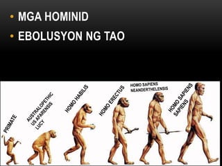 • MGA HOMINID
• EBOLUSYON NG TAO
 