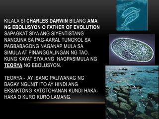KILALA SI CHARLES DARWIN BILANG AMA
NG EBOLUSYON O FATHER OF EVOLUTION
SAPAGKAT SIYA ANG SIYENTISTANG
NANGUNA SA PAG-AARAL TUNGKOL SA
PAGBABAGONG NAGANAP MULA SA
SIMULA AT PINANGGALINGAN NG TAO.
KUNG KAYAT SIYA ANG NAGPASIMULA NG
TEORYA NG EBOLUSYON.
TEORYA - AY ISANG PALIWANAG NG
BAGAY NGUNIT ITO AY HINDI ANG
EKSAKTONG KATOTOHANAN KUNDI HAKA-
HAKA O KURO KURO LAMANG.
 