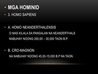 • MGA HOMINID
• 3. HOMO SAPIENS
• A. HOMO NEANDERTHALENSIS
O MAS KILALA SA PANGALAN NA NEANDERTHALS
NABUHAY NOONG 200,00 – 30,000 TAON B.P.
• B. CRO-MAGNON
NA NABUHAY NOONG 45,00-15,000 B.P NA TAON.
 