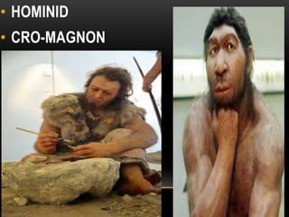 • HOMINID
• CRO-MAGNON
HOMO ERECTUS
 