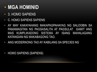 • MGA HOMINID
• 3. HOMO SAPIENS
• C. HOMO SAPIENS SAPIENS
• AY MAY KAKAYAHANG MAKAPAGPAHAYAG NG SALOOBIN SA
PAMAMAGITAN NG PAGSASALITA AT PAGSULAT GAMIT ANG
MAS KUMPLIKADONG SISTEMA AY ISANG MAHALAGANG
KATANGIAN NG MAKABAGONG TAO.
• ANG MODERNONG TAO AY KABILANG SA SPECIES NG
• HOMO SAPIENS (SAPIENS)
 