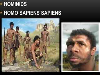 • HOMINIDS
• HOMO SAPIENS SAPIENS
HOMO ERECTUS
 