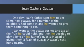 Juan Gathers Guavas
One day, Juan's father sent him to get
some ripe guavas, for a number of the
neighbors had come in and he wanted to give
them something to eat.
Juan went to the guava bushes and ate all
the fruit he could hold, and then he decided to
play a joke on his father's guests instead of
giving them a feast of guavas A wasp's nest
hung nearby.
 