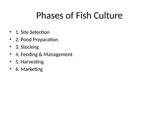 Phases of Fish Culture
• 1. Site Selection
• 2. Pond Preparation
• 3. Stocking
• 4. Feeding & Management
• 5. Harvesting
• 6. Marketing
 