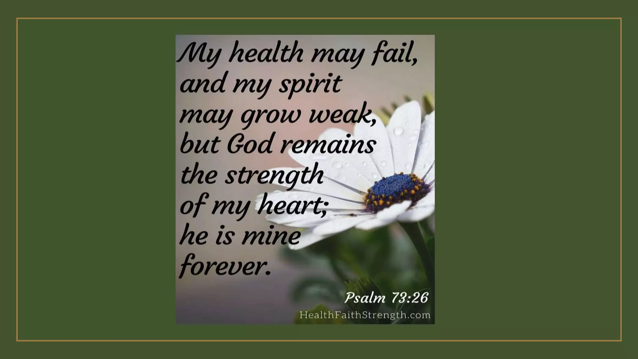 Grade 7 chapter1 lesson1 - the digestive system