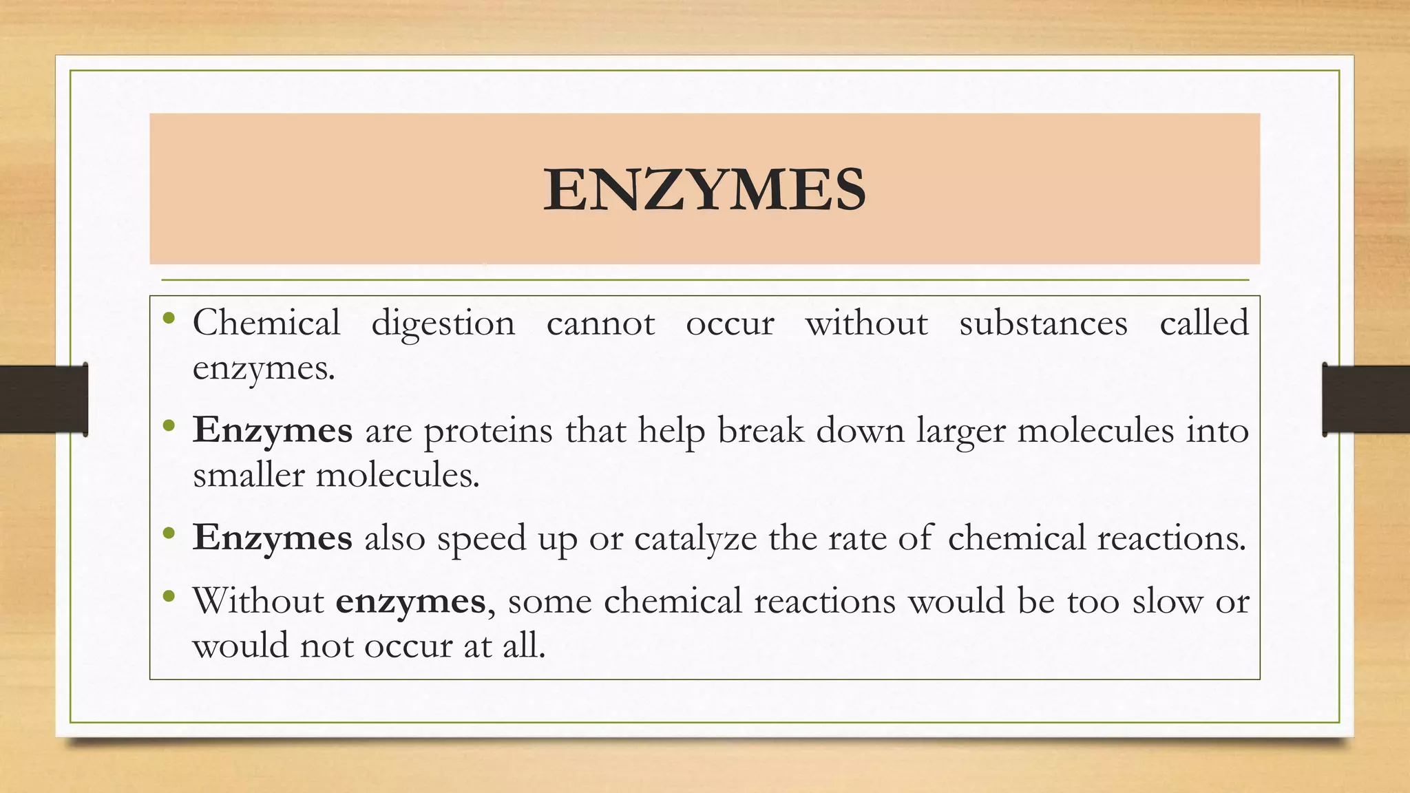 ENZYMES
• Chemical digestion cannot occur without substances called
enzymes.
• Enzymes are proteins that help break down larger molecules into
smaller molecules.
• Enzymes also speed up or catalyze the rate of chemical reactions.
• Without enzymes, some chemical reactions would be too slow or
would not occur at all.
 