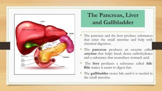 The Pancreas, Liver
and Gallbladder
• The pancreas and the liver produce substances
that enter the small intestine and help with
chemical digestion.
• The pancreas produces an enzyme called
amylase that helps break down carbohydrates
and a substance that neutralizes stomach acid.
• The liver produces a substance called bile.
Bile makes it easier to digest fats.
• The gallbladder stores bile until it is needed in
the small intestine.
 