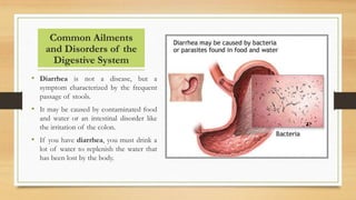 Common Ailments
and Disorders of the
Digestive System
• Diarrhea is not a disease, but a
symptom characterized by the frequent
passage of stools.
• It may be caused by contaminated food
and water or an intestinal disorder like
the irritation of the colon.
• If you have diarrhea, you must drink a
lot of water to replenish the water that
has been lost by the body.
 