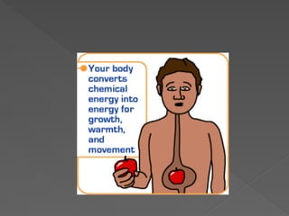 GRADE 7 ICSE PHYSICS WORK ENERGY AND POWER | PPTX