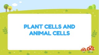 PLANT CELLS AND
ANIMAL CELLS
 