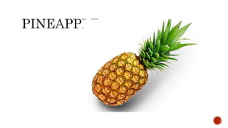 Filipino Riddles | PPTX