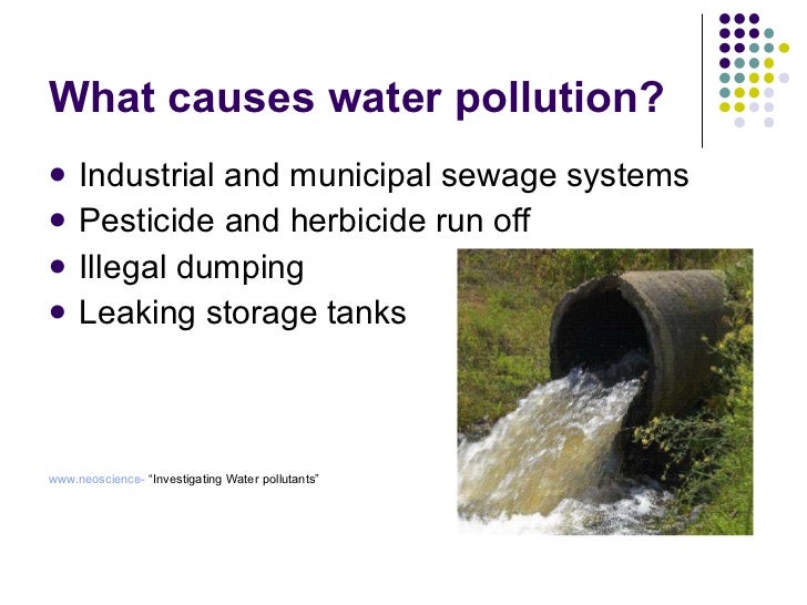Grade 7 www pollution overview
