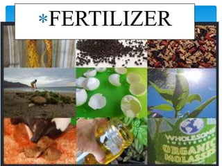 FERTILIZER
 