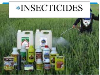 INSECTICIDES
 