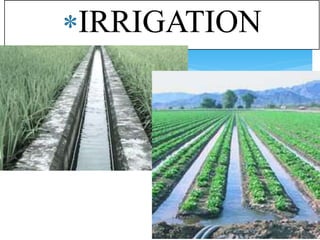 IRRIGATION
 