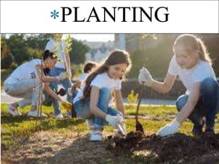 PLANTING
 