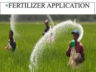 FERTILIZER APPLICATION
 