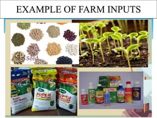 EXAMPLE OF FARM INPUTS
 