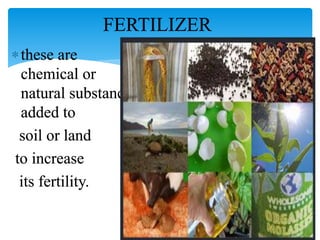 FERTILIZER
these are
chemical or
natural substance
added to
soil or land
to increase
its fertility.
 