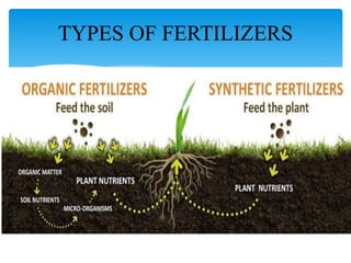 TYPES OF FERTILIZERS
 