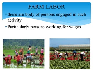FARM LABOR
these are body of persons engaged in such
activity
Particularly persons working for wages
 