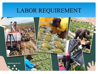 LABOR REQUIREMENT
 