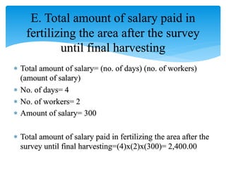 E. Total amount of salary paid in
fertilizing the area after the survey
until final harvesting
 Total amount of salary= (no. of days) (no. of workers)
(amount of salary)
 No. of days= 4
 No. of workers= 2
 Amount of salary= 300
 Total amount of salary paid in fertilizing the area after the
survey until final harvesting=(4)x(2)x(300)= 2,400.00
 