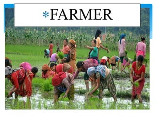 FARMER
 