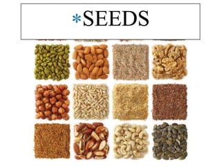 SEEDS
 