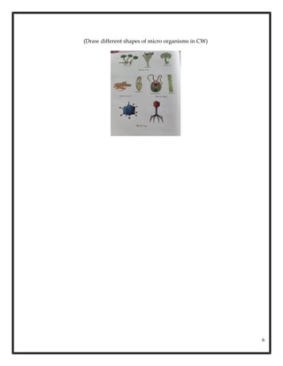 Chapter Microorganisms Class 8 Notes Grade 8-Science Chapter 2-Microorganisms Friends and Foe Master Notes.pdf