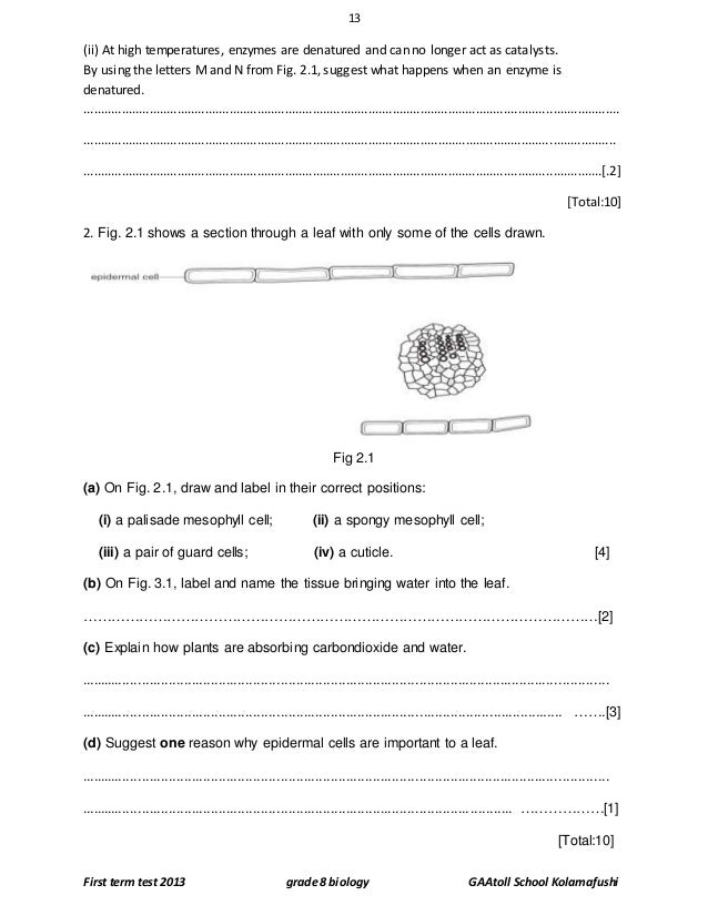 Grade 8 Biology Practice Test