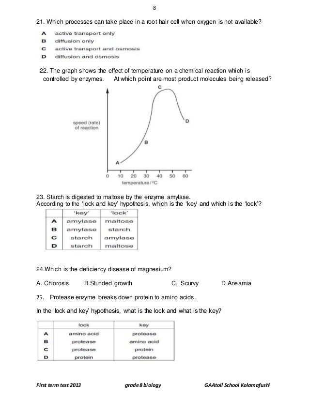 Grade 8 Biology Practice Test