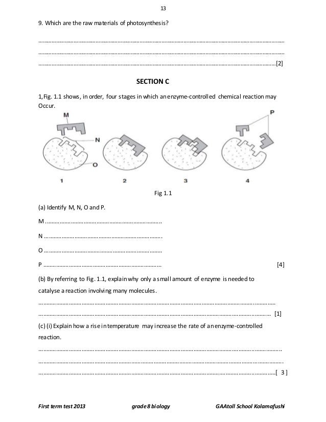 biology first exam 1 biology 105 lab practical exam 1 – review sheet the first lab exam will cover the following labs: microscope, metric/measurements (including the metric homework. biology first exam 1 biology 105 lab practical exam 1 – review sheet the first lab exam will cover the following labs: microscope, metric/measurements (including the metric homework.