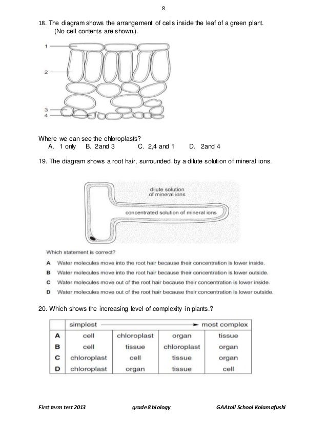 Grade 8 biology first term 2013