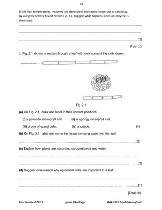 14
First term test 2013 grade 8 biology GAAtoll School Kolamafushi
(ii) At high temperatures, enzymes are denatured and can no longer act as catalysts.
By using the letters M and N from Fig. 2.1, suggest what happens when an enzyme is
denatured.
..........................................................................................................................................................
.........................................................................................................................................................
.....................................................................................................................................................[.2]
[Total:10]
2. Fig. 2.1 shows a section through a leaf with only some of the cells drawn.
Fig 2.1
(a) On Fig. 2.1, draw and label in their correct positions:
(i) a palisade mesophyll cell; (ii) a spongy mesophyll cell;
(iii) a pair of guard cells; (iv) a cuticle. [4]
(b) On Fig. 3.1, label and name the tissue bringing water into the leaf.
…………………………………………………………………………………………………[2]
(c) Explain how plants are absorbing carbondioxide and water.
.........................................................................................................................................
............................................................................................................................. …….[3]
(d) Suggest one reason why epidermal cells are important to a leaf.
.........................................................................................................................................
................................................................................................................ ………………[1]
[Total:10]
 