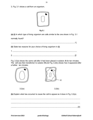 15
First term test 2013 grade 8 biology GAAtoll School Kolamafushi
3. Fig. 3.1 shows a cell from an organism.
Fig 3.1
(a) (i) In which type of living organism are cells similar to the one shown in Fig. 3.1
normally found?
...............................................................................................................................1]
(ii) State two reasons for your choice of living organism in (i).
1. ...............................................................................................................................
2. ...........................................................................................................................[2
Fig. 3.2(a) shows the same cell after it had been placed in solution A for ten minutes.
The cell was then transferred to solution B and Fig. 3.2(b) shows how it appeared after
a further ten minutes.
3.2(a) 3.2(b)
(b) Explain what has occurred to cause the cell to appear as it does in Fig. 3.2(a).
.........................................................................................................................................
.........................................................................................................................................
.....................................................................................................................................[3]
 