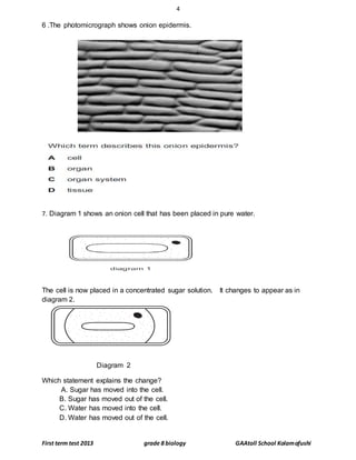 4
First term test 2013 grade 8 biology GAAtoll School Kolamafushi
6 .The photomicrograph shows onion epidermis.
7. Diagram 1 shows an onion cell that has been placed in pure water.
The cell is now placed in a concentrated sugar solution. It changes to appear as in
diagram 2.
Diagram 2
Which statement explains the change?
A. Sugar has moved into the cell.
B. Sugar has moved out of the cell.
C. Water has moved into the cell.
D. Water has moved out of the cell.
 