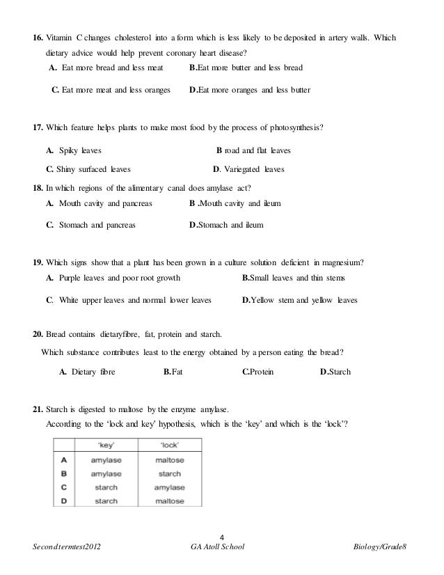 Grade 8 biology term2 2012