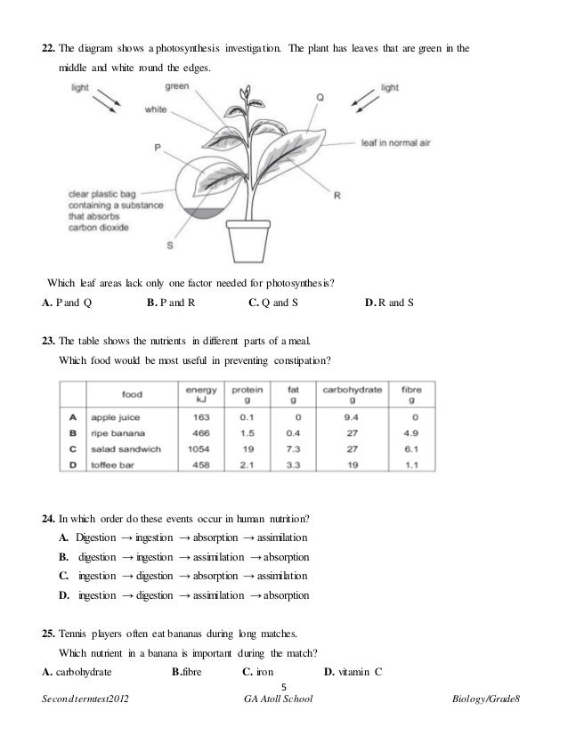 Grade 8 biology term2 2012