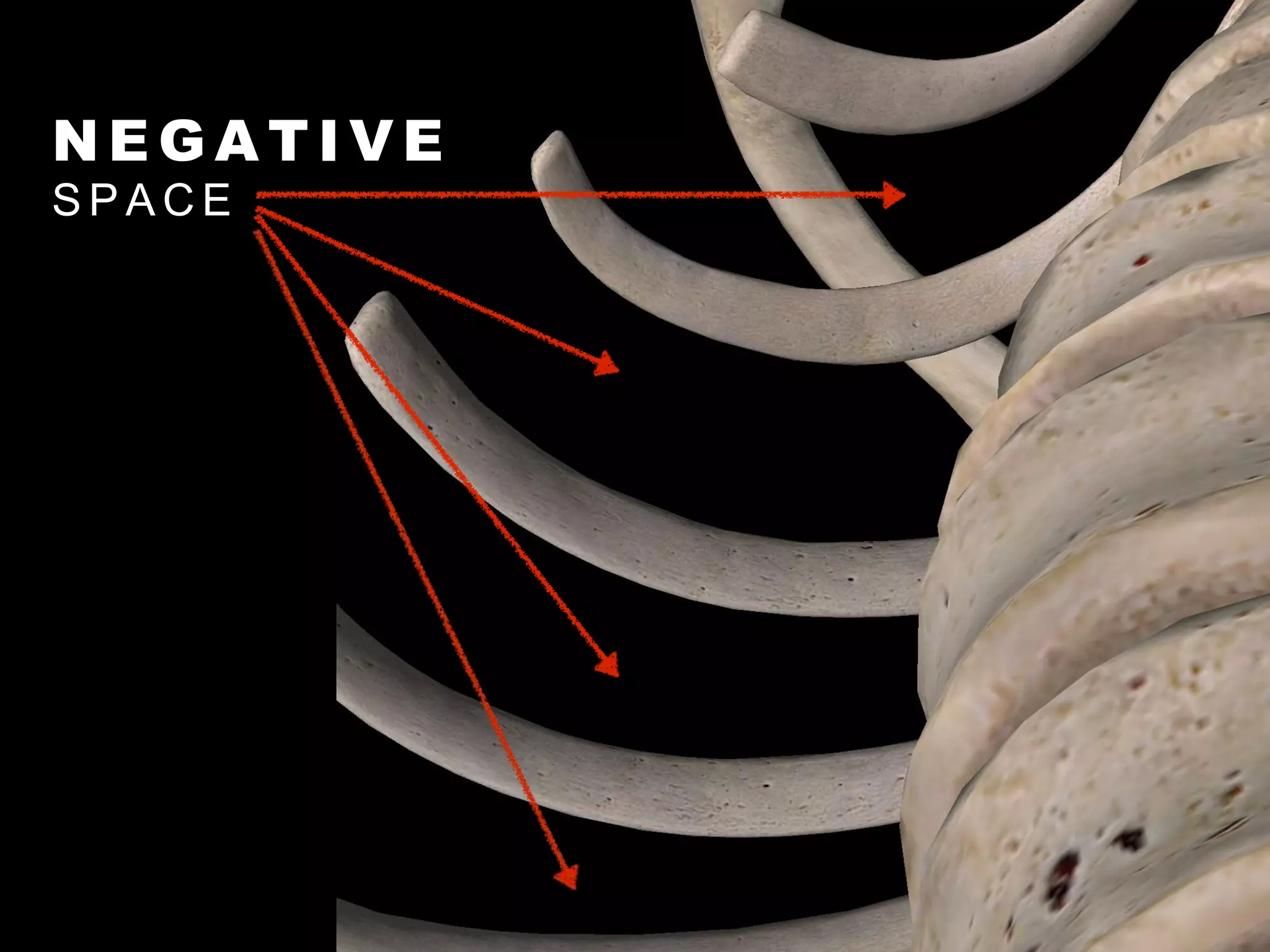 N E G A T I V E
S P A C E
 