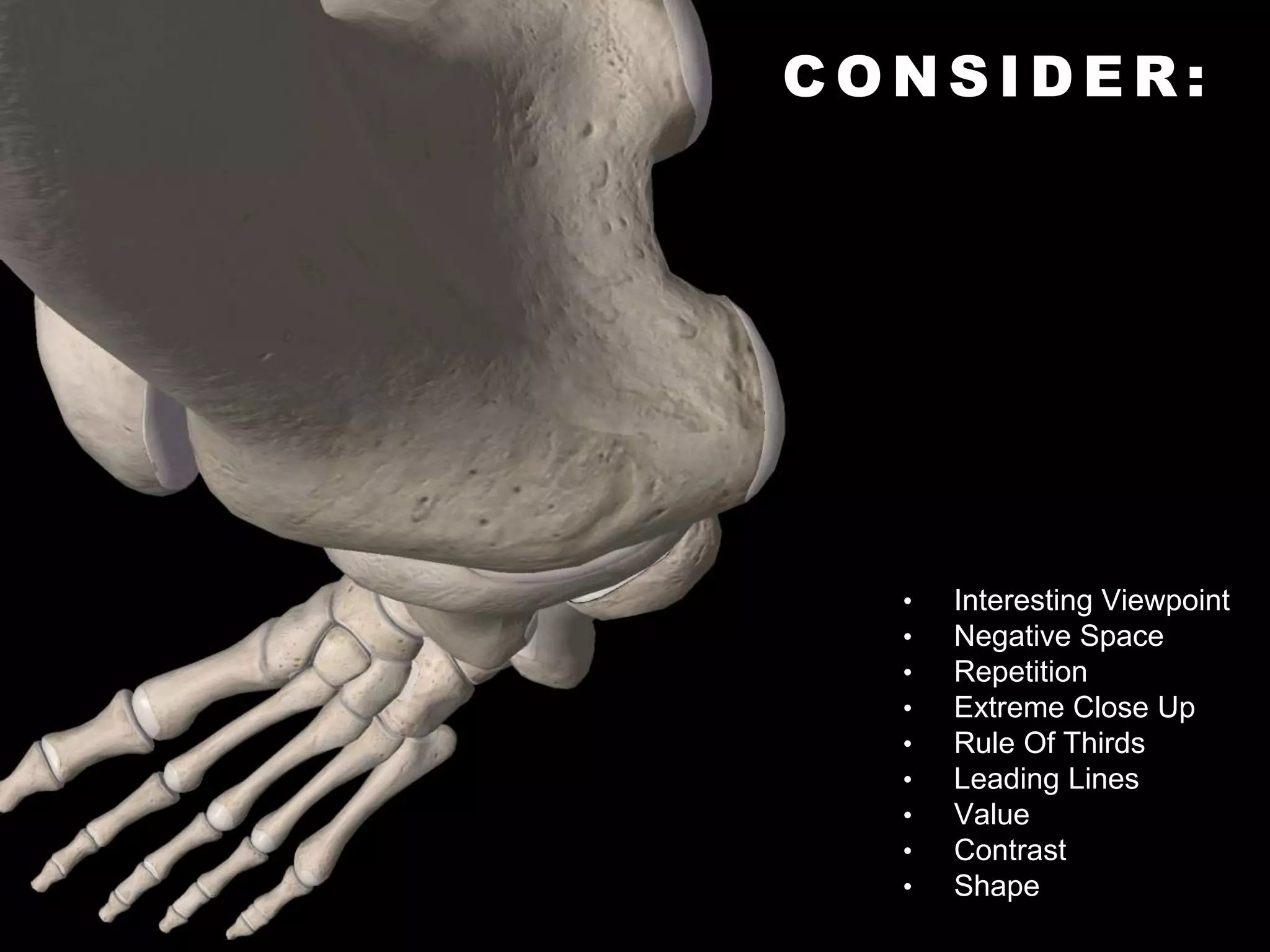 C O N S I D E R :
• Interesting Viewpoint
• Negative Space
• Repetition
• Extreme Close Up
• Rule Of Thirds
• Leading Lines
• Value
• Contrast
• Shape
 