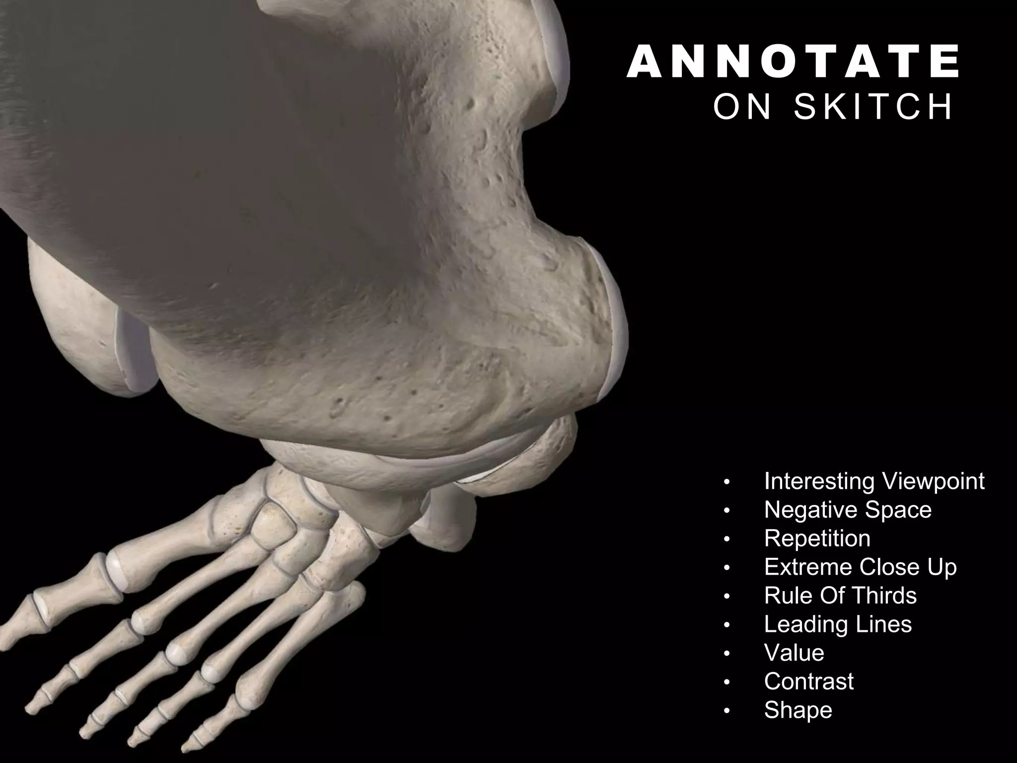 A N N O T A T E
O N S K I T C H
• Interesting Viewpoint
• Negative Space
• Repetition
• Extreme Close Up
• Rule Of Thirds
• Leading Lines
• Value
• Contrast
• Shape
 